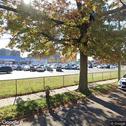 Rochdale Dental Care: Marlene Reynolds-Cox, DDS, dentists office located at 16544A Baisley Blvd, Jamaica, NY.